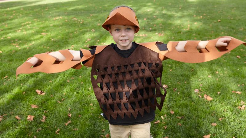 FREE Halloween Costume Sewing Patterns - MHS Blog