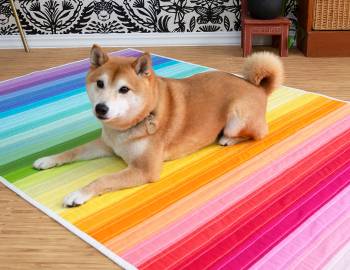 Rainbow Jelly Roll Quilt Top